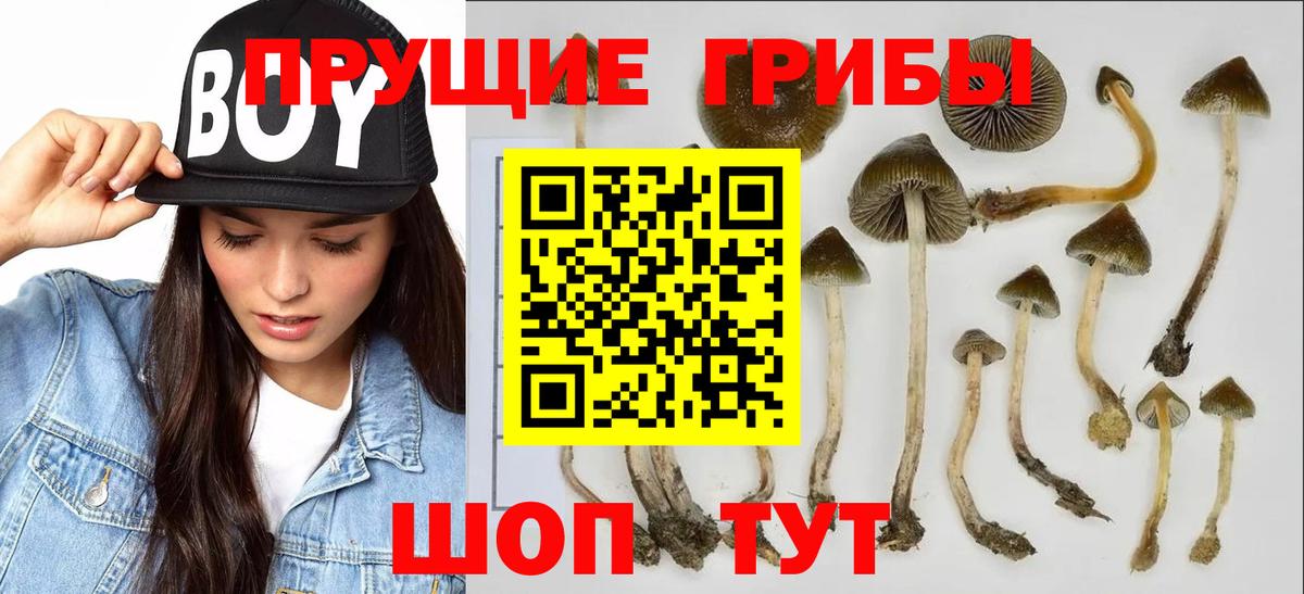 Белорецк  Псилоцибиновые грибы Psilocybine cubensis  Псилоцибиновые грибы MAGIC MUSHROOMS  Вход с VPN 