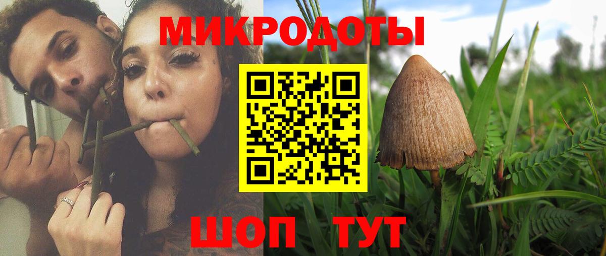 Галлюциногенные грибы мицелий Белорецк